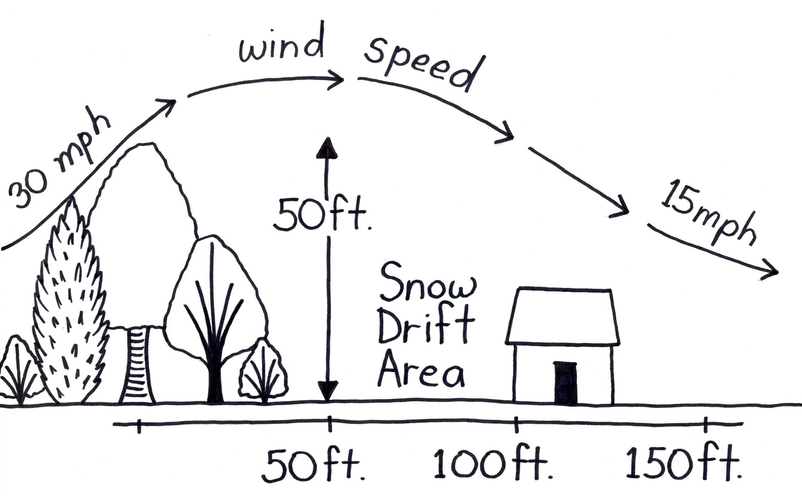 Windbreak Diagram